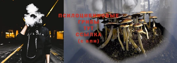 спайс Сясьстрой