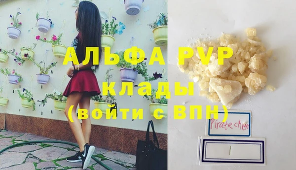спайс Сясьстрой