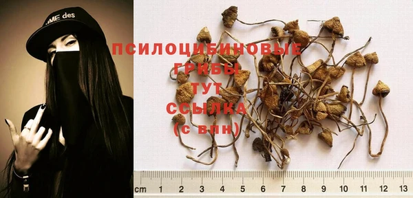 мяу мяу кристалл Тайга