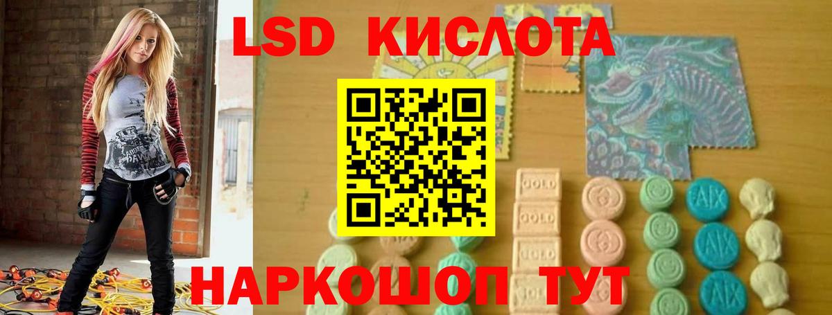 omg ONION  ЛСД экстази  LSD-25 экстази кислота  Вольск  ЛСД экстази кислота 