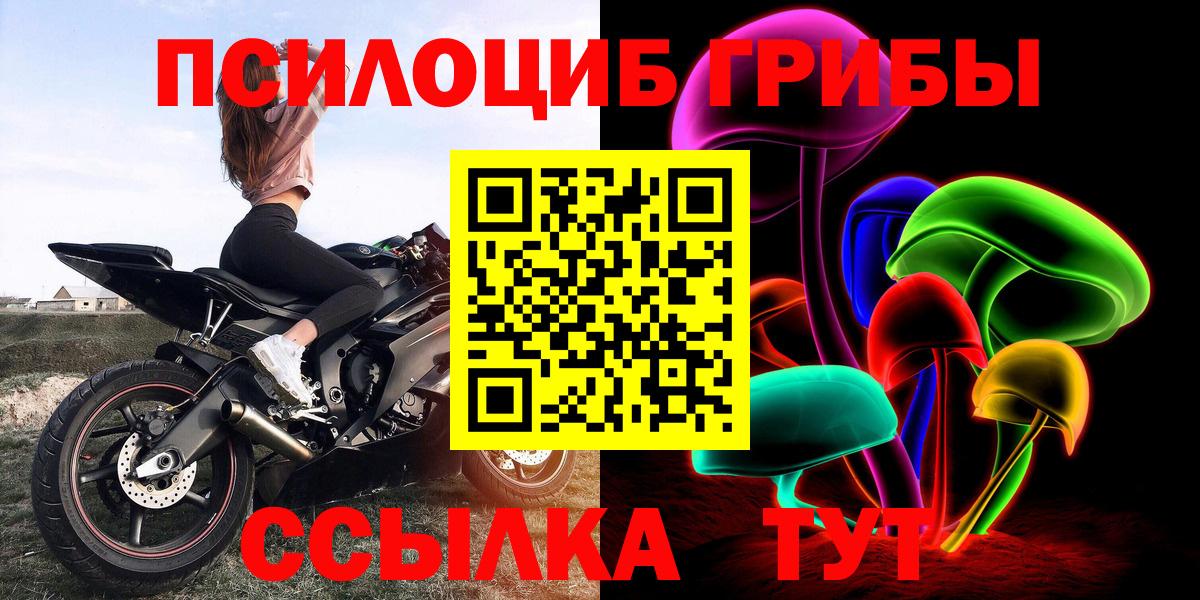 Псилоцибиновые грибы Magic Shrooms  Вход с VPN  где купить наркоту  Вольск 