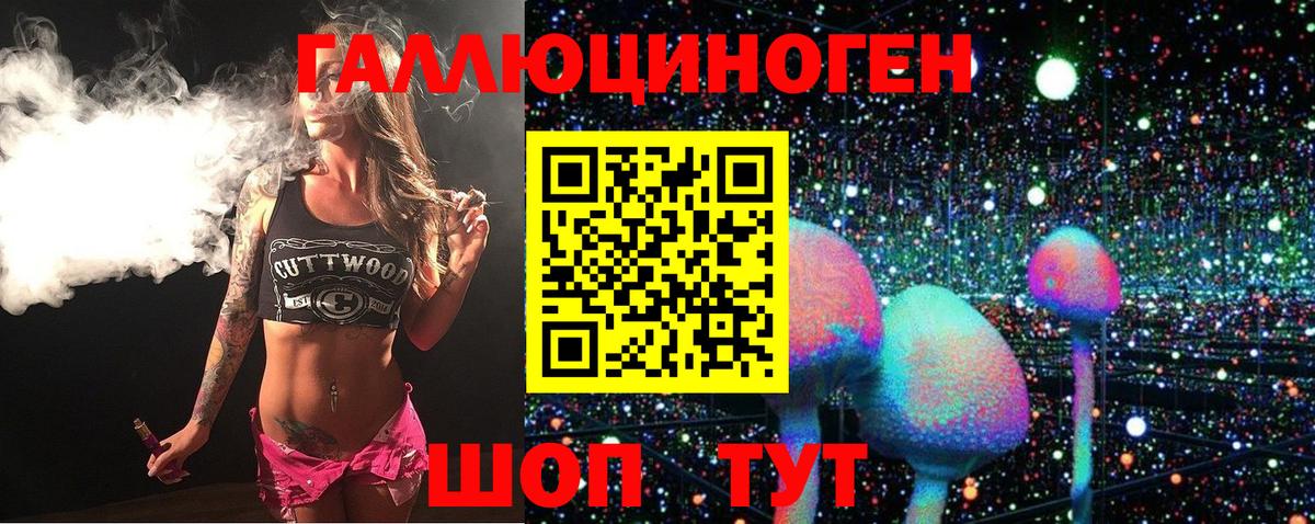 Псилоцибиновые грибы Psilocybe  Псилоцибиновые грибы Psilocybe  Вольск 