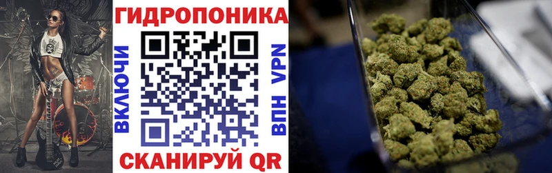 omg зеркало  Вольск  МАРИХУАНА марихуана  хочу  