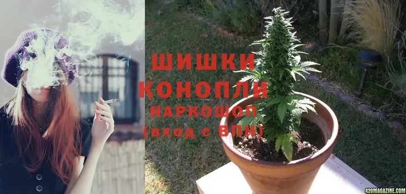 купить наркоту  Вольск  Шишки марихуана SATIVA & INDICA 